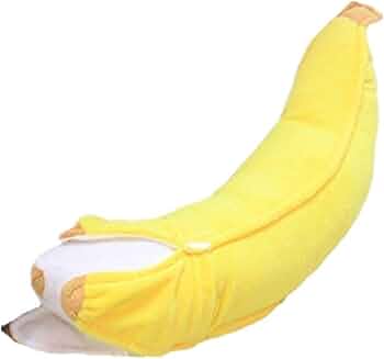 512yr+vAXlL._AC_UF350,